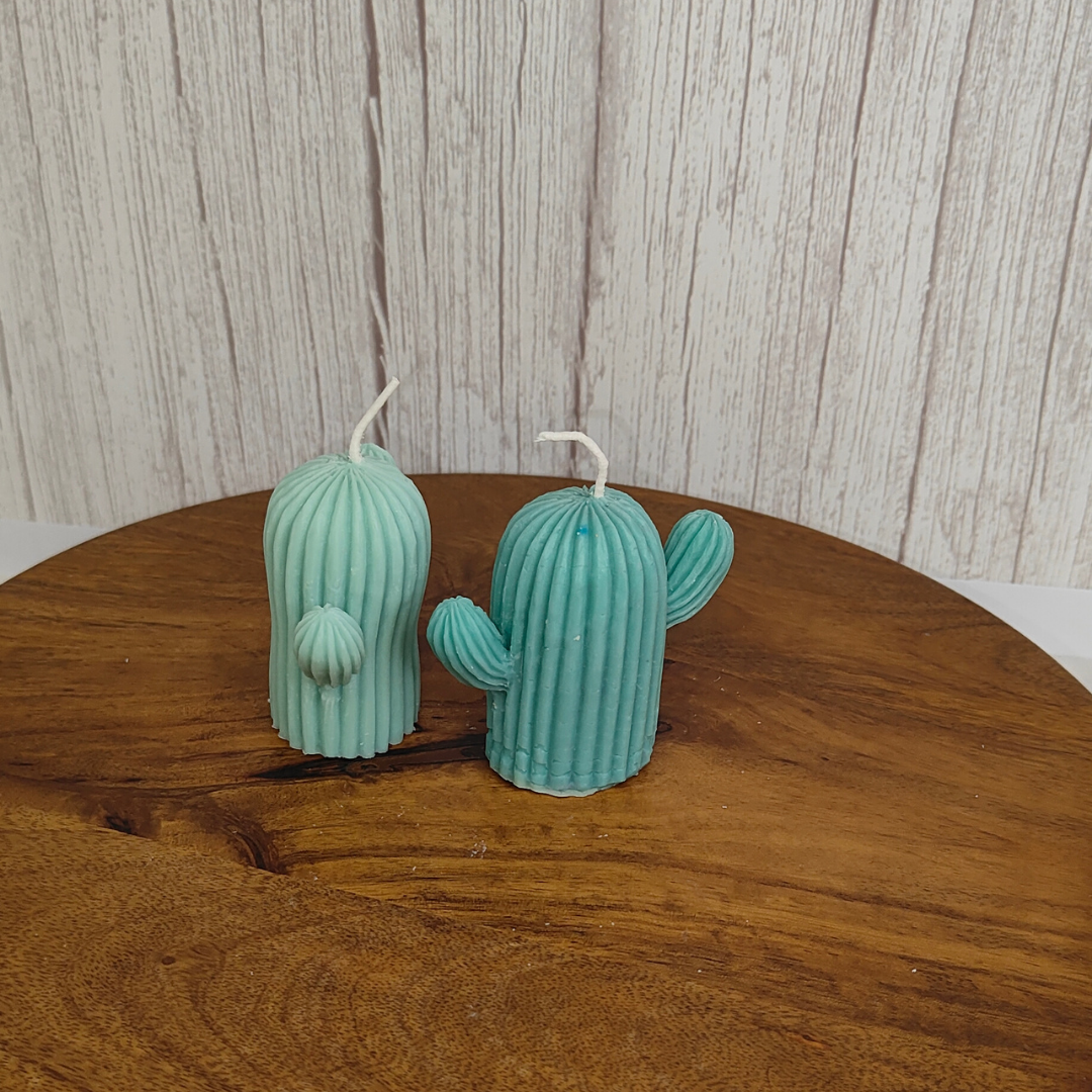 English Oakmoss Vetiver Cactus Candle – Soy Wax Candle