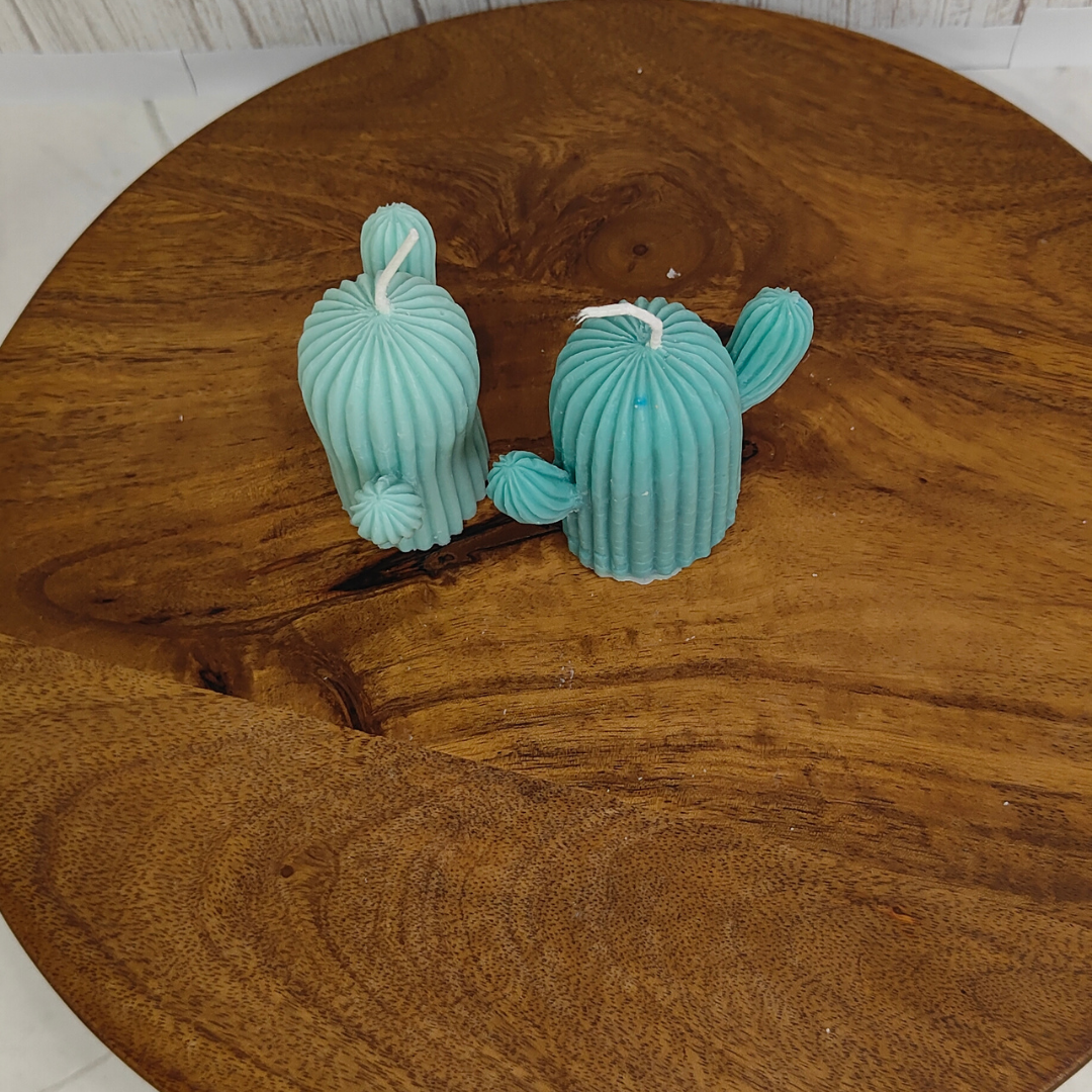 English Oakmoss Vetiver Cactus Candle – Soy Wax Candle