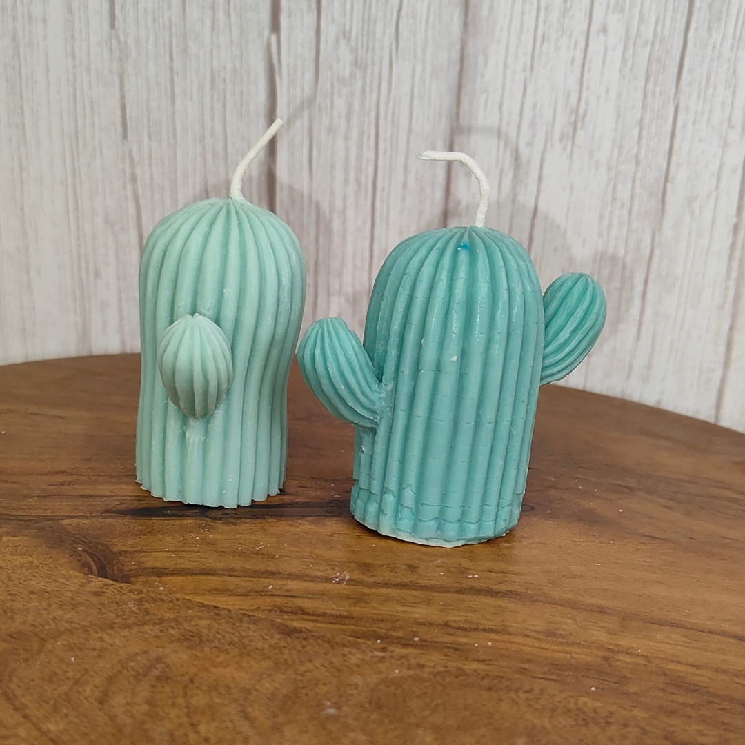 English Oakmoss Vetiver Cactus Candle – Soy Wax Candle